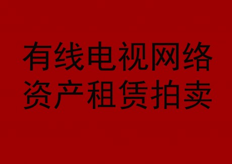 博望區(qū)有線電視網(wǎng)絡資產(chǎn)租賃拍賣公告